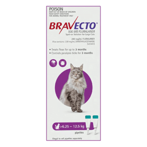 Bravecto Spot-On Cats Purple