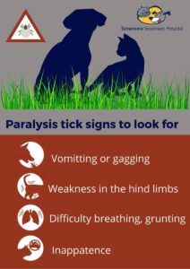 Paralysis Tick Warning Signs
