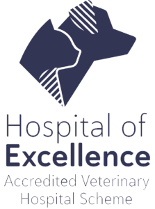 Hospital of Excellence Logo