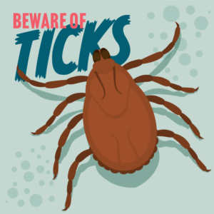 Tick Warning Sign