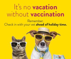 Vacation Vaccination