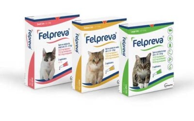 Felpreva Spot-On for Cats